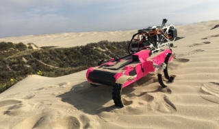 RHex在加州皮斯莫海滩的一个沙丘上行进，它携带着一个机械传感器，通过摩擦沙丘表面来检测风卷起沙粒需要多大的力量。