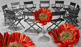 罂粟花和会议椅的图片插图