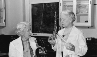 伊丽莎白·黑曾(左)和雷切尔·布朗，1955年。史密森学会档案馆，图片# SIA2008-3566