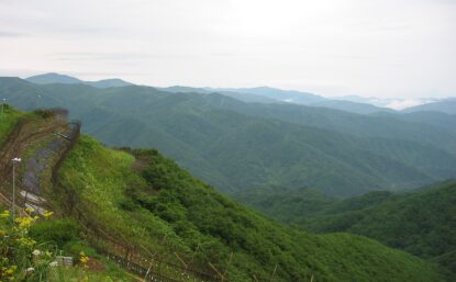 韩国DMZ图像 自然景观 和周围栅栏