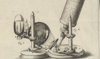 1665年罗伯特·胡克的显微摄影术中的显微镜图像