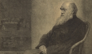 托马斯·约翰逊为查尔斯·达尔文画的肖像画