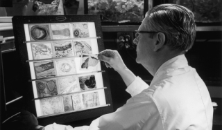 橡树岭国家实验室(ORNL)的生物学家检查动物组织，约1970年。