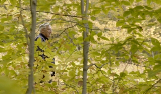 人走在落叶的森林里