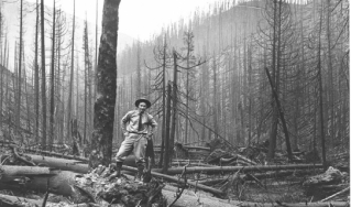 1910年大火后的林业局档案照片。