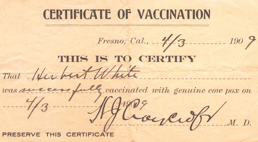 疫苗接种卡的特写