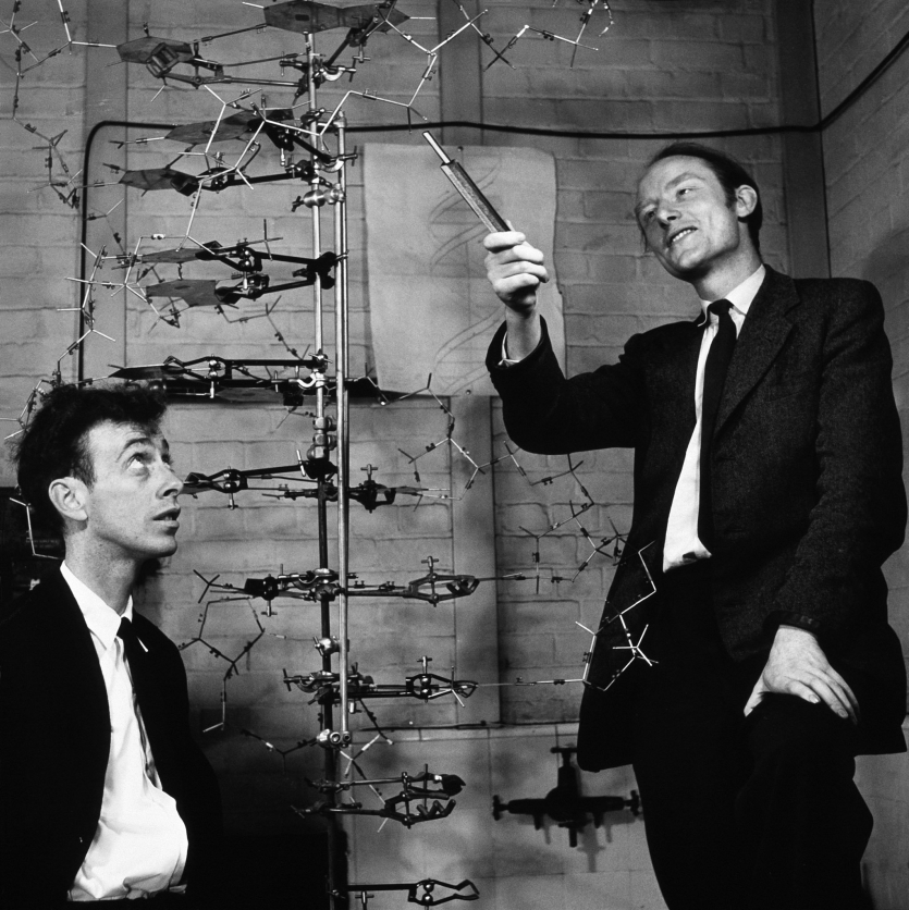 1953年，詹姆斯·沃森和弗朗西斯·克里克在卡文迪许实验室做了DNA模型。