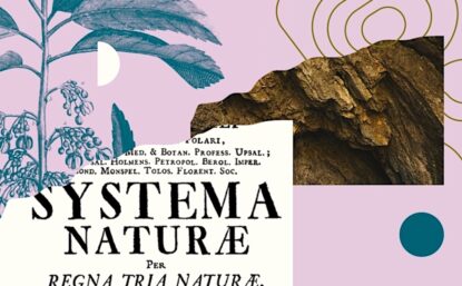 拼接插图显示Systema Natile由Carl Linnaeus编译,植物插图,山洞作物