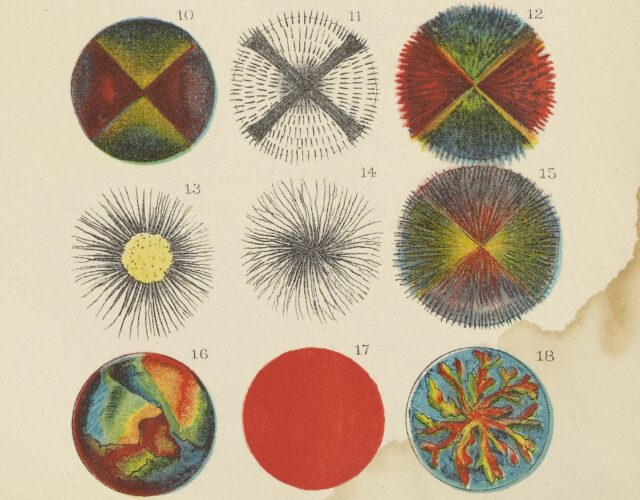 1886年12幅多色图解显微镜下各种脂肪